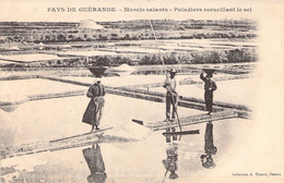 44 - GUERANDE - Marais Salants - Paludiers Recueillant Le Sel  - Carte Postale Ancienne - Guérande