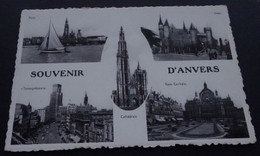 Souvenir D'Anvers - Ern. Thill, Bruxelles, Bromurite, N° 48 - Antwerpen