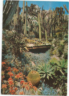 AC5223 Monaco - Montecarlo Monte Carlo - Le Jardin Exotique / Non Viaggiata - Exotische Tuin