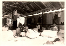 Jérusalem - Photo Ancienne - Tailleurs De Pierre Au Saint Sépulcre - Israël - Israel