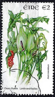 IRELAND 2004 Wild Flowers Euro 2 Used - Used Stamps