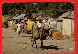 QAH-25 Haiti  Village To The Cap.  Scène Pittoresque. Ane.  Circulé En 1978 Vers La Suisse. GF Iris - Haïti