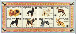 Delcampe - Sierra Leone 1994 YO Chien Doberman Terrier Weimaraner Rottweiler Akita - Hoftiere
