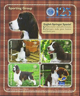 Delcampe - Sierra Leone 2009 Springer Spaniel Chiens Animaux De Compagnie Animaux Cenil - Hoftiere
