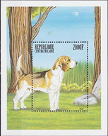 Delcampe - Afrique Centrale 1999 BEAGLE Chiens Domestiques Animaux Nature M S MNH - Hoftiere
