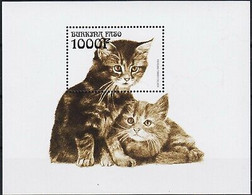 Delcampe - Burkina Faso 1999 Persans Chats Domestiques Animaux Animaux Domestiques Nature - Hoftiere
