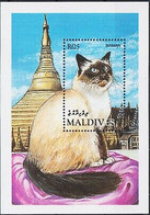 Delcampe - Maldives 1994 Birman Chats Animaux Domestiques Domestiques Animaux Nature M S - Hoftiere