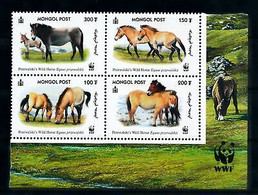 Delcampe - Mongolie 2000 WWF Przewalski's Horse Animals Nature Endangered Species MNH 1 - Hoftiere
