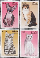 Delcampe - Maldives 1998 Chats Écossais Pli Tigré Américain Poil Court Sphinx Animaux 4v - Hoftiere