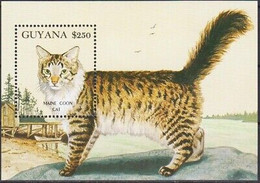 Delcampe - Guyane 1992 Maine Coon Domestique Chats Animaux Nature Animaux De Compagnie M S - Hoftiere