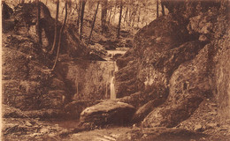 Delcampe - WAULSORT - Les Cascatelles - Hastière
