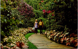 Florida St Petersburg Sunken Gardens Beautiful Flower Lined Path - St Petersburg