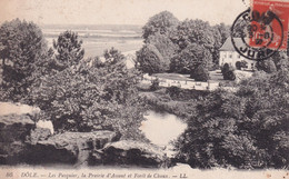 Delcampe - DOLE - Dole
