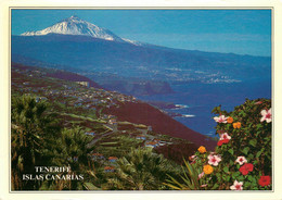 Delcampe - CPSM Tenerife-Valle De La Orotova Y El Teide      L2040 - Tenerife