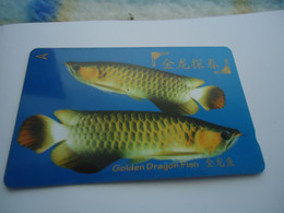 SINGAPORE  USED  CARDS  FISH FISHES - Pesci