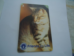 SINGAPORE  USED  CARDS  ANIMALS  CAT CATS - Chats