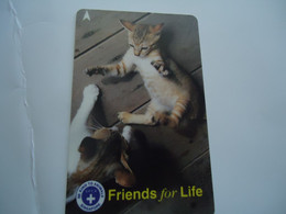 SINGAPORE  USED  CARDS  ANIMALS  CAT CATS - Gatti