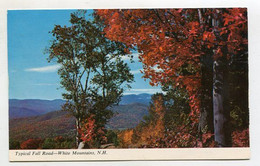 AK 110699 USA - New Hampshire - White Mountains - Typical Fall Road - White Mountains