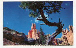 AK 110726 USA - Utah - Bryce Canyon National Park - Queen's Garden - Bryce Canyon