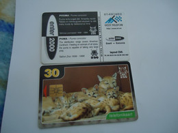 ESTONIA  USED  CARDS  ANIMALS  LION LIONS - Katten