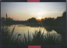 Delcampe - 61 - Briouze - Bellou En Houlme - Marais Du Grabd Hazé - Couché De Soleil - Briouze