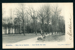 CPA - Carte Postale - Belgique - Bruxelles -  Bois De La Cambre - Les Bords Du Lac - 1906 (CP22241OK) - Forêts, Parcs, Jardins