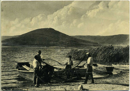 Delcampe - RONCIGLIONE  VITERBO  Scena Di Pesca  Lago Di Vico - Viterbo