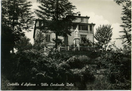 Delcampe - CIVITELLA D'AGLIANO  VITERBO  Villa Cardinale Dolci - Viterbo