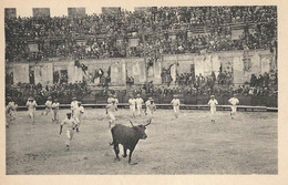Delcampe - 13 ARLES PHOTO-GEORGE COCARDE D'OR COURSE LIBRE  RAZETEURS TAUREAUX TAUROMACHIE CAMARGUE BOUCHES DU RHONE - Arles