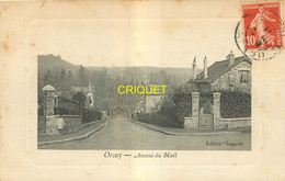 Delcampe - 91 Orsay, Avenue Du Mail, Carte Cadre Gaufré Affranchie 1911 - Orsay