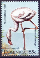 Dominica 1995 MNH, American Flamingo,Water Bird - Flamingo