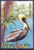 Dominica 1995 MNH, Brown Pelican, Water Birds - Pelikane