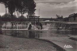 89 / SEIGNELAY / LA BAIGNADE ET LE DEVERSOIR / RARE CPSM ARTISTIC 71 - Seignelay