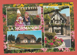 Delcampe - CP REGION NORMANDIE CHAUMIERES  62 - Sonstige