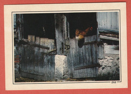 Delcampe - CP REGION NORMANDIE CHAUMIERES  73 - Sonstige