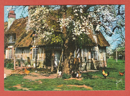 Delcampe - CP REGION NORMANDIE CHAUMIERES  70 En Vallée D' Auge - Sonstige