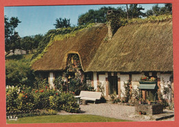 Delcampe - CP REGION NORMANDIE CHAUMIERES  69  Toit De Chaume - Sonstige