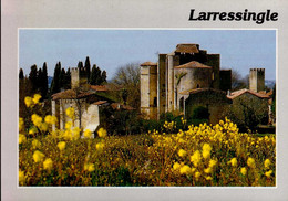 Delcampe - LARRESSINGLE    ( GERS )  Vue Générale - Auch