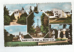 44 Saint Etienne De Montluc Multivues - Saint Etienne De Montluc
