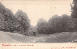 BRUXELLES - Bois De La Cambre - Le Ravin - Carte Postale Ancienne - Bossen, Parken, Tuinen