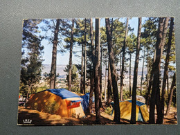 Delcampe - Carte Neuve * New Card   AUBENAS CAMPING - Aubenas