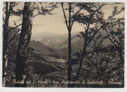 Delcampe - Arezzo, Veduta Del S. Eremo E Ven.  Archicenobio Di Camaldoli - Cartolina Viaggiata - - Arezzo
