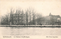 Belgique - Willebroeck - Le Château Et La Montagne - Edit. Thomas Baggerman - Précurseur  - Carte Postale Ancienne - Willebrök