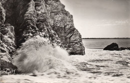 Delcampe - 44,LOIRE ATLANTIQUE,SAINT MICHEL CHEF CHEF,1960 - Saint-Michel-Chef-Chef