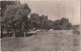 Delcampe - Jargeau , Loiret. Entrée Du Camp Des Campeurs. CPSM Pt Format. Timbrée, 2 Scans - Jargeau