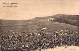 FRANCE - 51 - SARAN - Moët Et Chandon - Les Vendanges - Carte Postale Ancienne - Autres & Non Classés