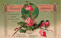 Fantaisies - Fleur - Voeux Sincères - Oiseaux Sur Une Branche D'houx - Dorures - Relief - Carte Postale Ancienne - Otros & Sin Clasificación
