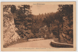 Delcampe - JURA PITTORESQUE. ROUTE DE CHAMPAGNOLE A SAINT-LAURENT . PONT SUR LA LEMME . CARTE ECRITE AU VERSO - Champagnole