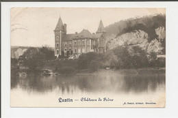 Delcampe - Belgique - Lustin - Château De Frêne - Profondeville