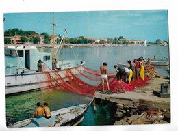 Delcampe - Agde - Retour De Peche - Agde